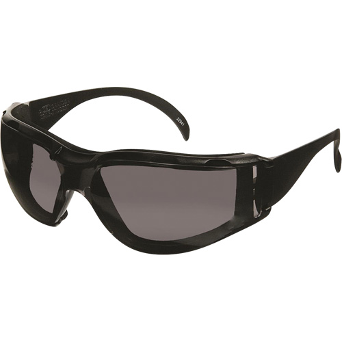 Lunettes de s&eacute;curit&eacute; CeeTec DX, Lentille Gris, Antibu&eacute;e/Anti-&eacute;gratignures, R&eacute;pond ou surpasse la norme CSA Z94.3 Equipex