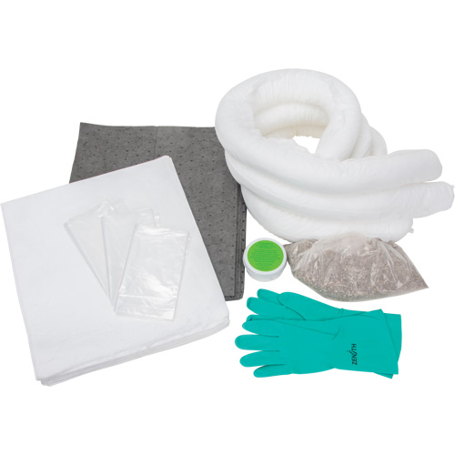 Spill Kit, Oil Only/Universal, Bag, 10 US gal. Absorbancy Equipex