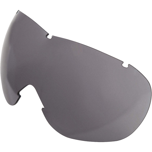 Lentille de rechange pour les lunettes de s&eacute;curit&eacute; &agrave; coques Uvex Sub-Zero, Antibu&eacute;e/anti-&eacute;gratignures, Gris, Uvex Sub-Zero Equipex