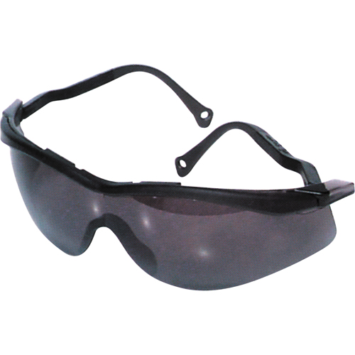 Lunettes de s&eacute;curit&eacute; North The Edge, Lentille Fum&eacute;e, Antibu&eacute;e/Anti-&eacute;gratignures, R&eacute;pond ou surpasse la norme CSA Z94.3 Equipex