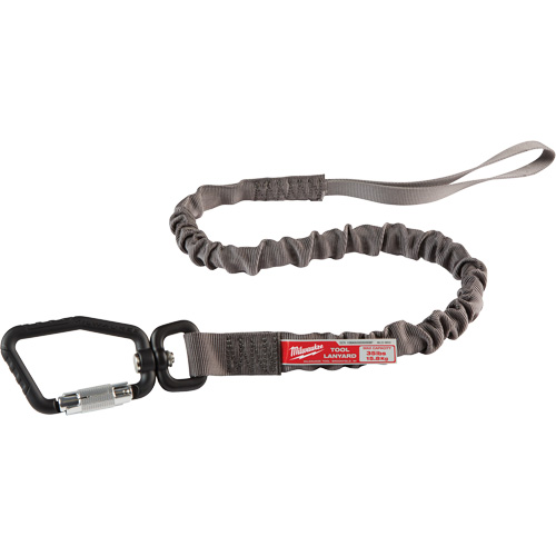 Locking Tool Lanyard, Bungee, Carabiner/Loop Equipex