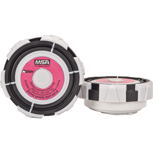 Cartridge with Splash Guard, Particulate Filter, P100 Filter Equipex