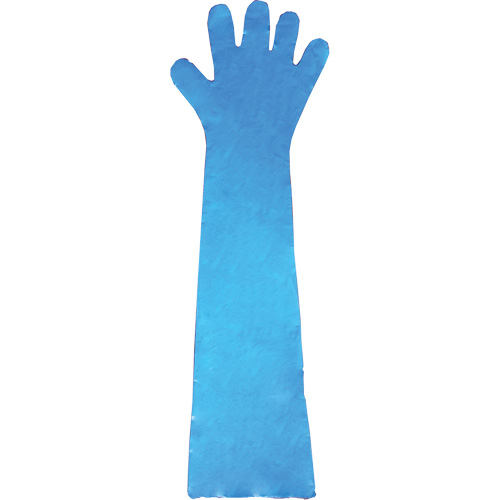 Gants jetables en latex, Gants jetables, Gants jetables en vinyle, Poly&eacute;thyl&egrave;ne, Sans poudre, Bleu Equipex