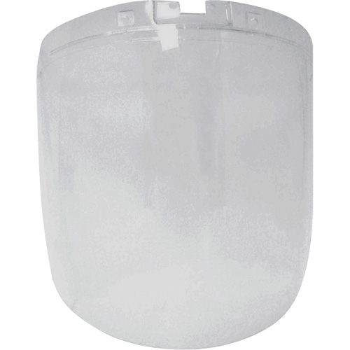 DP4 Series Replacement Anti-Fog Faceshield, Polycarbonate, Clear Tint Equipex