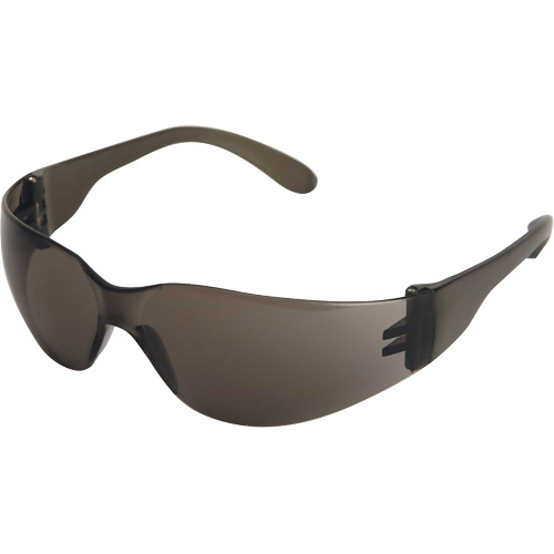 X300 Lunettes de s&eacute;curit&eacute;, Lentille Fum&eacute;e, Anti-&eacute;gratignures, ANSI Z87+/R&eacute;pond ou surpasse la norme CSA Z94.3 Equipex