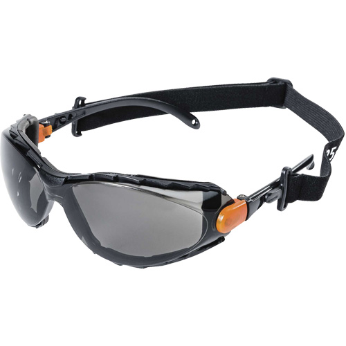 XPS502 Lunettes de s&eacute;curit&eacute; &eacute;tanches, Lentille Int&eacute;rieur/ext&eacute;rieur, Anti-&eacute;gratignures Equipex