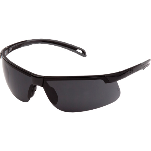 Lunettes de s&eacute;curit&eacute; Ever-Lite, Lentille Gris fonc&eacute;, ANSI Z87+/R&eacute;pond ou surpasse la norme CSA Z94.3 Equipex