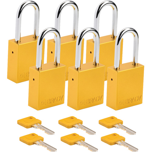 Cadenas de s&eacute;curit&eacute;, Cadenas de s&eacute;curit&eacute;, Cl&eacute;s diff&eacute;rentes, Aluminium, Largeur de 1-1/2" Equipex