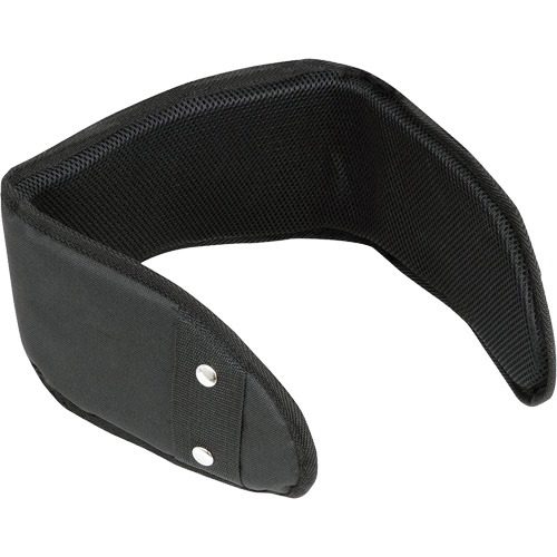 WB-6006 Padded Lumbar Support for Belt - Universal Equipex