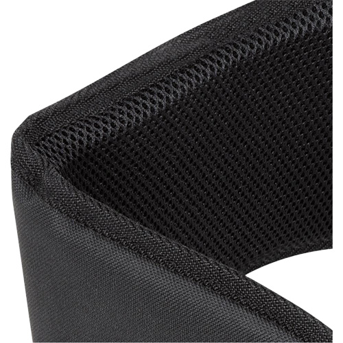 WB-6006 Padded Lumbar Support for Belt - Universal Equipex