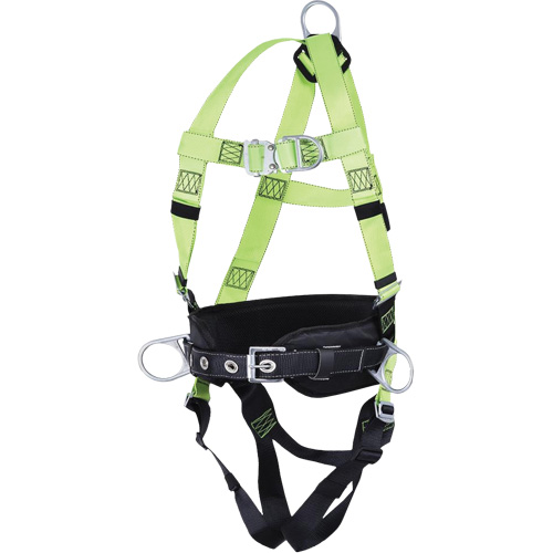 FBH10000L1020-S  Harnais de s&eacute;curit&eacute; s&eacute;rie entrepreneur avec ceinture de positionnement, Certifi&eacute;e CSA, Classe ALP, Petit Equipex