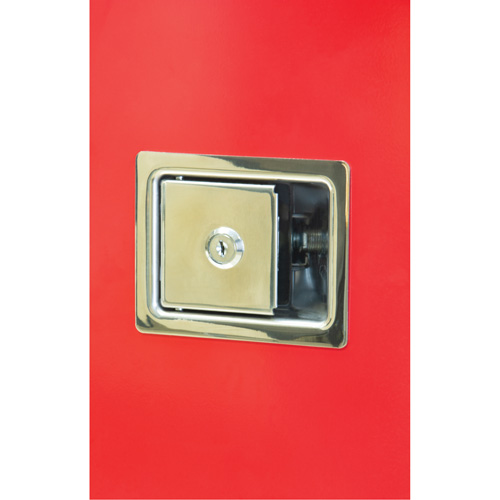 Heavy-Duty Outdoor Fire Extinguisher Cabinet, 14" W x 28" H x 10" D Equipex