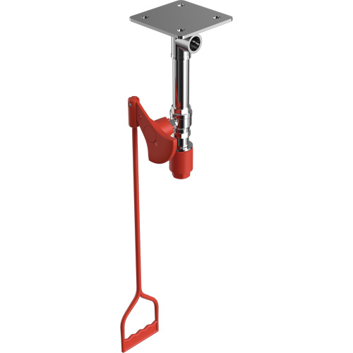 Drench Shower, Ceiling-Mount Equipex
