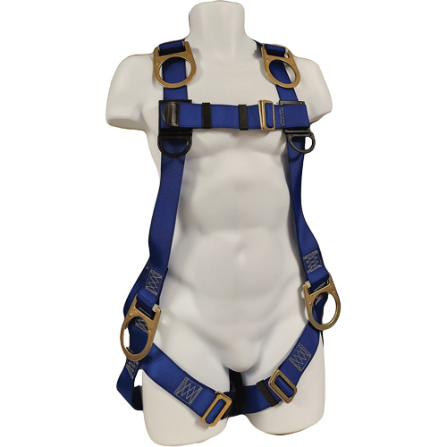 ECO Safety Harness, CSA Certified, Class AEP, 352 lbs. Cap. Equipex