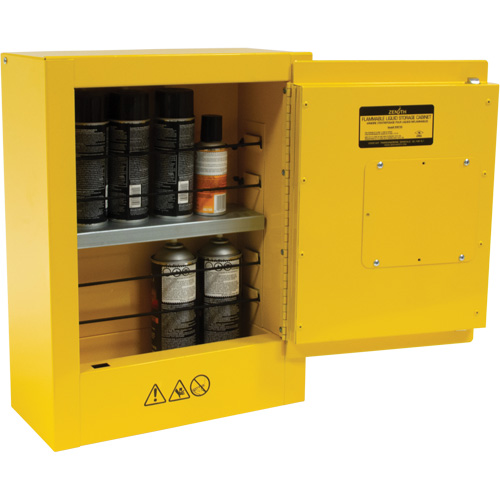 Armoire de s&eacute;curit&eacute; miniature pour produits inflammables, 2 gal., 1 Porte(s), 17" La x 22" h x 8" p Equipex