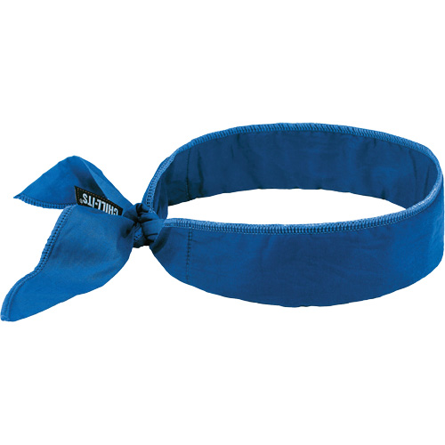 Chill-Its 6702 Cooling Headband with Embedded Polymers & Tie Closure, Blue Equipex