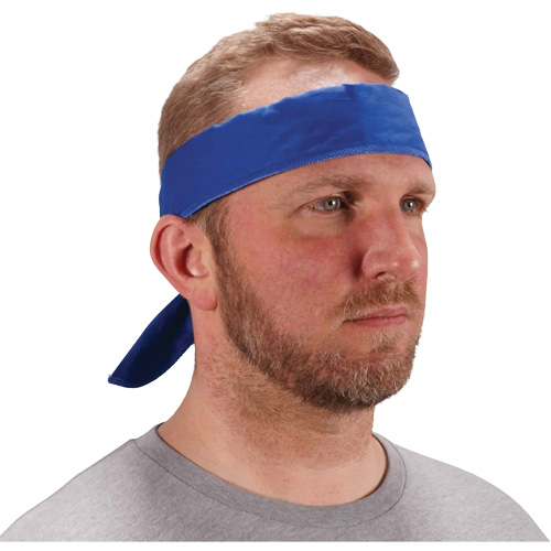 Chill-Its 6702 Cooling Headband with Embedded Polymers & Tie Closure, Blue Equipex