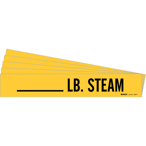 Marqueurs de tuyau LB. Steam, Autocollant, 2-1/4" h x 2-3/4" la, Noir sur jaune Equipex