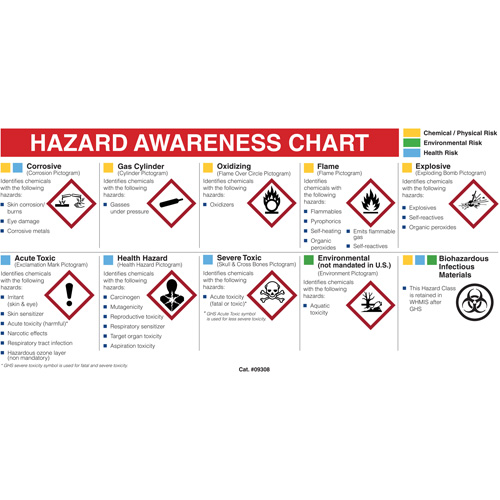 Mini centre de fiches signal&eacute;tiques du fournisseur, diagramme, anglais Equipex