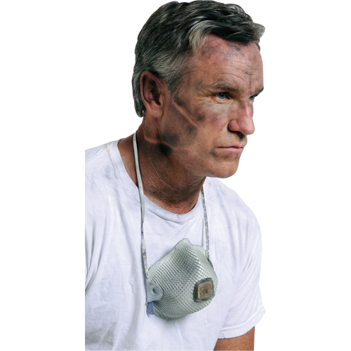 2700 Particulate Respirators, N95, NIOSH Certified, Large/Medium Equipex