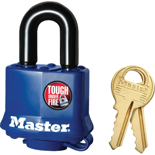Cadenas r&eacute;sistant aux intemp&eacute;ries, Cl&eacute;s diff&eacute;rentes, Acier lamin&eacute;, Largeur de 1-9/16" Equipex