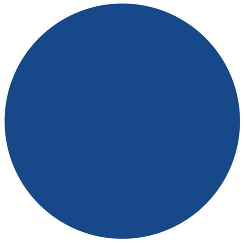 Round Write-On Labels, Circle, 1.5" L x 1.5" W, Blue Equipex