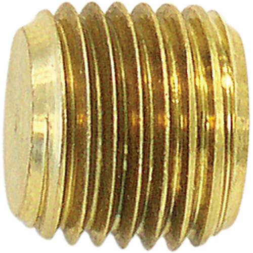 Pipe Plug (Counter Sunk Hex Head), 1/8" Dia., Brass Equipex