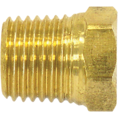 Pipe Plug (Hex Head), 1/4" Dia., Brass Equipex