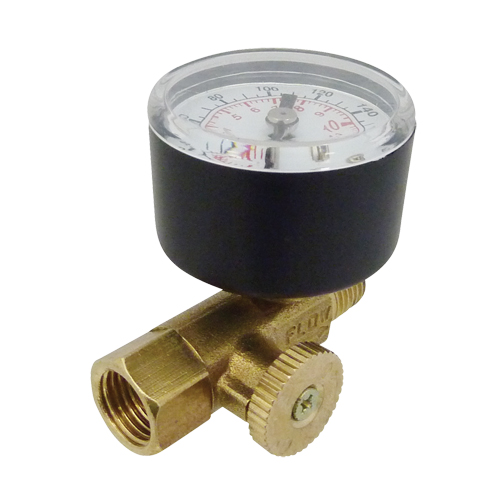 R&eacute;gulateurs &agrave; canalisation directe, 1/4" NPT, PSI max. de 160 PSI, Canalisation Equipex