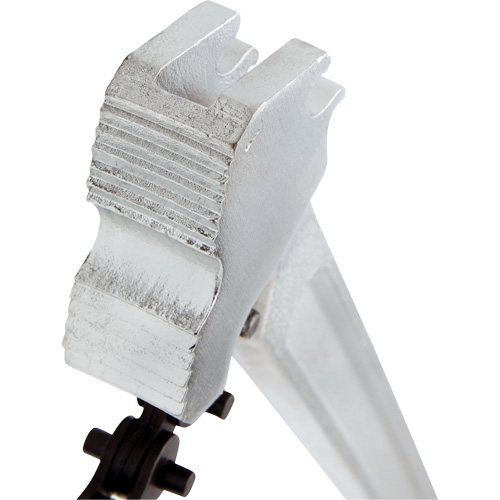 Cl&eacute; &agrave; chaîne Equipex