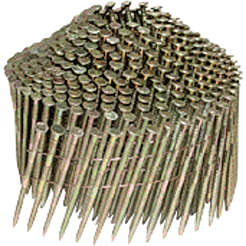Plain Nails Equipex