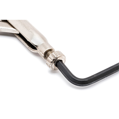 Locking Chain Clamp with Chain Equipex
