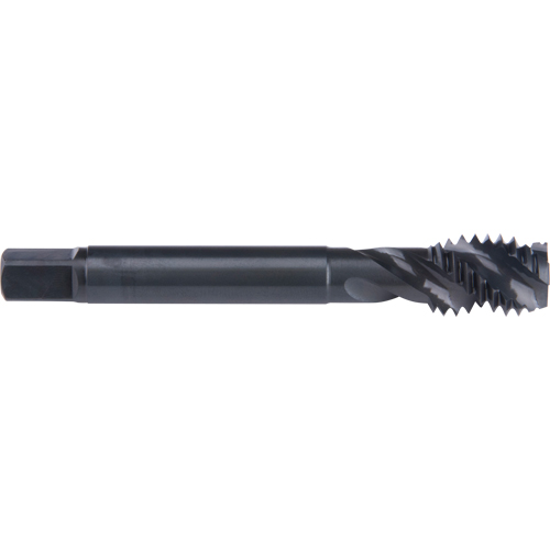 Taraud &agrave; cannelure en spirale 45°, Acier rapide au cobalt, Filet de 7/8"-9, 4-11/16" l Equipex