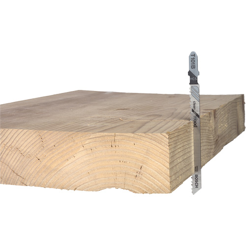 Lame de scie alternative pour la coupe du bois, Acier &agrave; haute teneur en carbone, Tige en T, 4" lo, 10 dents par pouce Equipex
