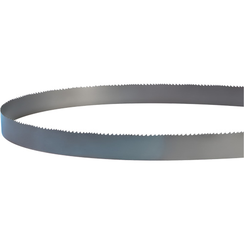 Lame soud&eacute;e pour scie &agrave; ruban, Bim&eacute;tal, 14' lo x 1" la x 4 - 6 dents par pouce Equipex