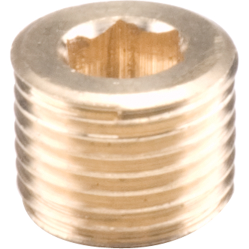Bouchons de tuyau - Creux hexagonal, 1/8" Equipex