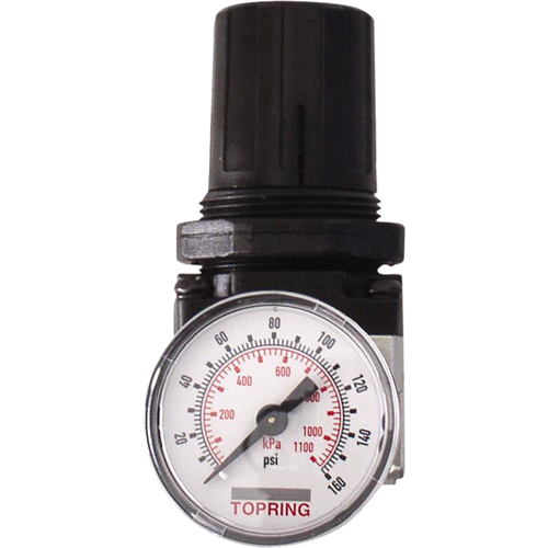 R&eacute;gulateurs, 1/4" NPT, PSI max. de 150 psi, Modulaire Equipex