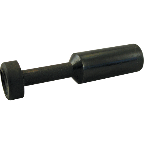 P.t.c. Plug Equipex