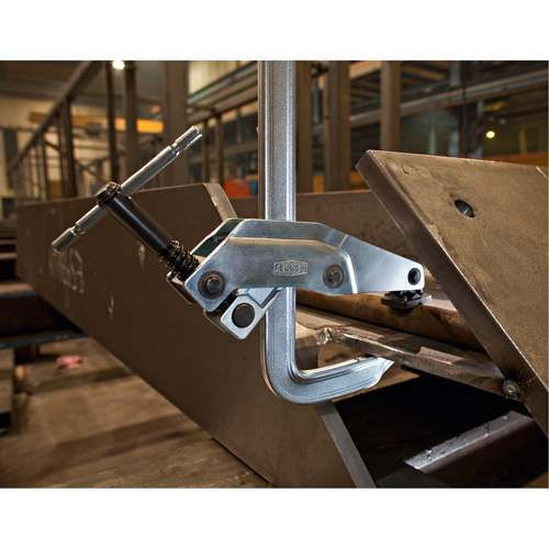 Serre-joint &agrave; pince Equipex