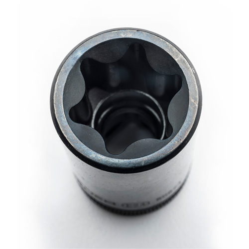 External Torx&reg; Socket Set, 1/2"/1/4"/3/8" Drive Equipex