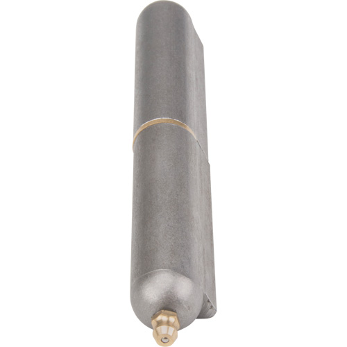 Charni&egrave;re &agrave; souder, 0,787" dia. x 5,906" lo, Acier doux a/goupille fixe en acier Equipex
