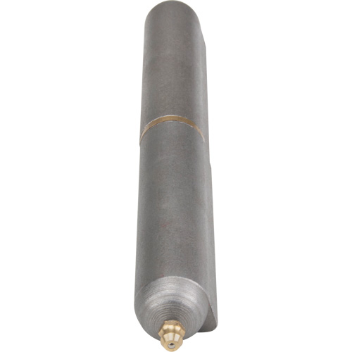 Charni&egrave;re &agrave; souder, 0,906" dia. x 7,874" lo, Acier doux a/goupille fixe en acier Equipex