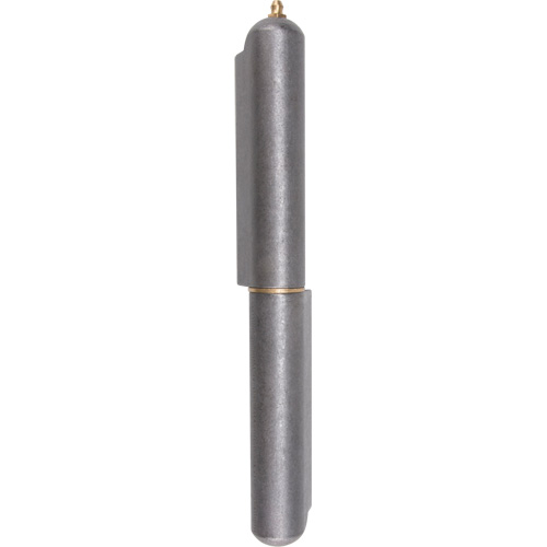 Charni&egrave;re &agrave; souder, 1,102" dia. x 10,236" lo, Acier doux a/goupille fixe en acier Equipex