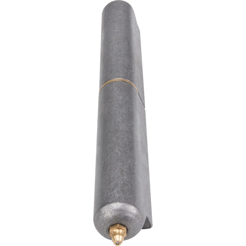Charni&egrave;re &agrave; souder, 1,102" dia. x 10,236" lo, Acier doux a/goupille fixe en acier Equipex
