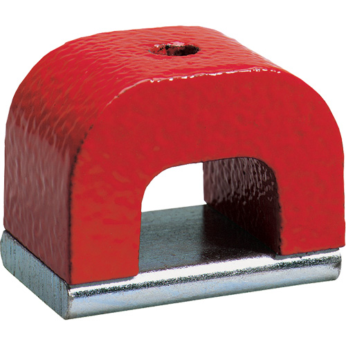 Alnico Horseshoe Magnet Equipex