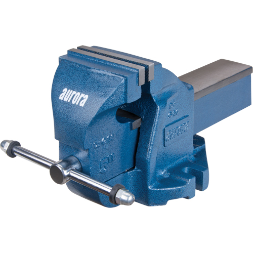 &eacute;tau d'&eacute;tabli robuste, Largeur des m&acirc;choires 5", Profondeur de la gorge 3-3/10" Equipex