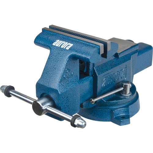 &eacute;tau d'usage g&eacute;n&eacute;ral pour atelier, Largeur des m&acirc;choires 6", Profondeur de la gorge 3-4/10" Equipex