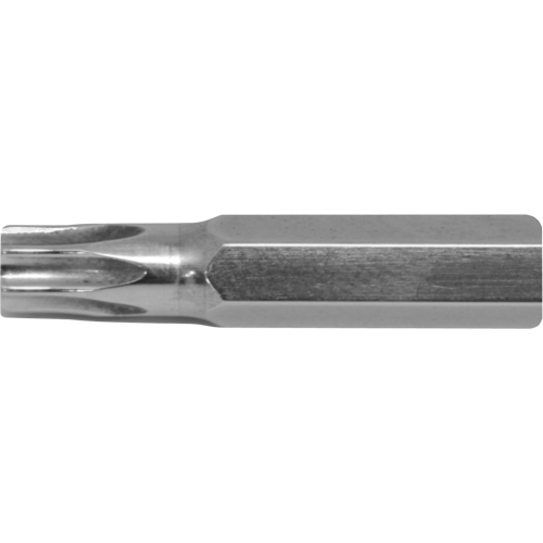 Stubby Multi-Bit Screwdriver -Replacement Bit, Torx, 15, 1/4" Drive Equipex
