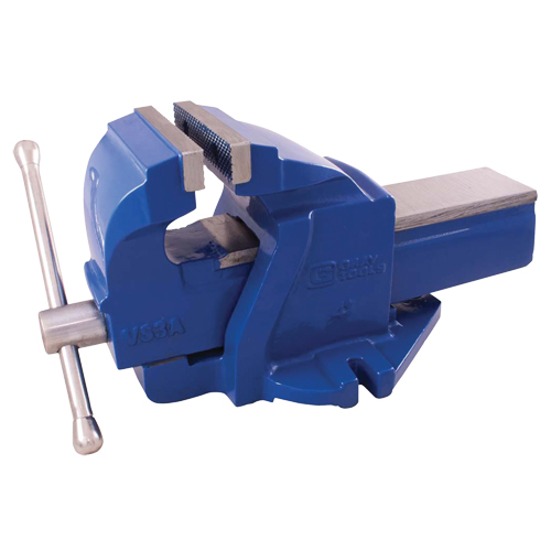 &eacute;tau d'&eacute;tabli en fonte ductile pour m&eacute;canicien, Largeur des m&acirc;choires 4", Profondeur de la gorge 2" Equipex