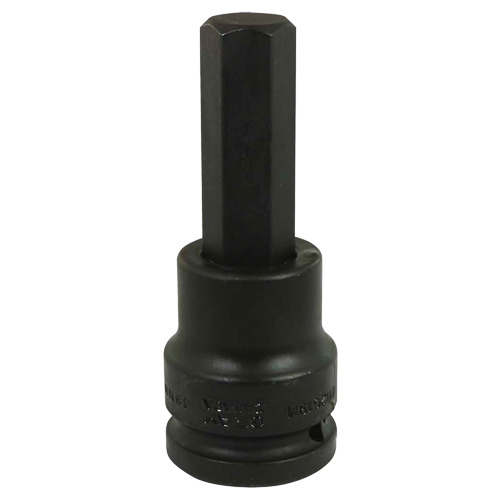 Impact Bit Socket, Hex, 19 mm x 3/4" Drive Equipex